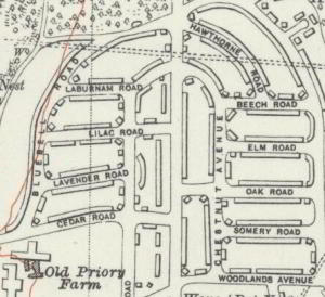 Detail of OS six-inch map of Dudley 1938