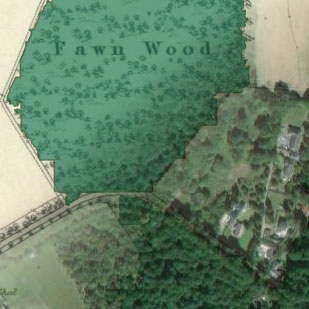 Woodland in Scotland, 1840s-1880s graphic
