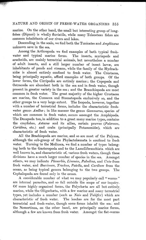 Page 355, Volume 1 - On the Nature and Origin of Fresh-water Organisms, by Wm. A. Cunnington