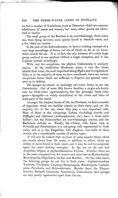 Page 356, Volume 1 - On the Nature and Origin of Fresh-water Organisms, by Wm. A. Cunnington