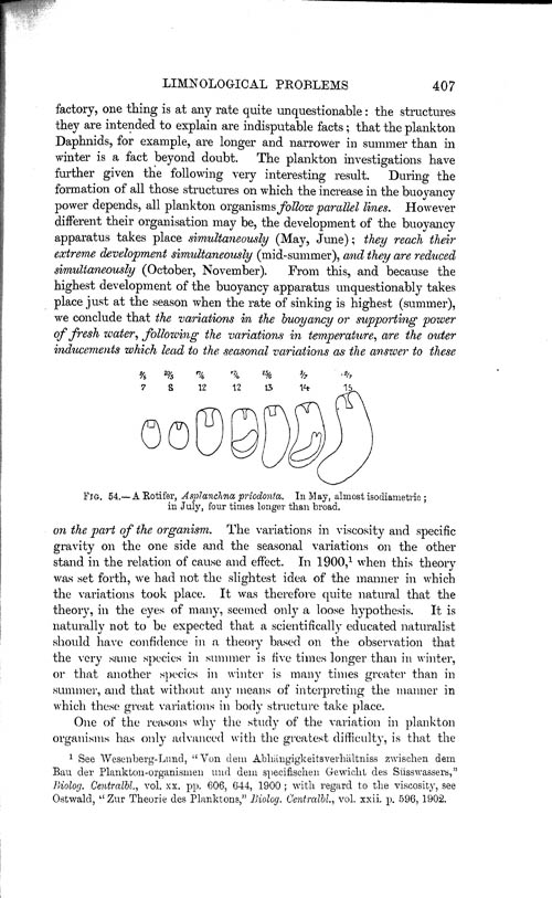 Page 407, Volume 1 - Summary of our Knowledge regarding various Limnological Problems, by C. Wesenberg-Lund
