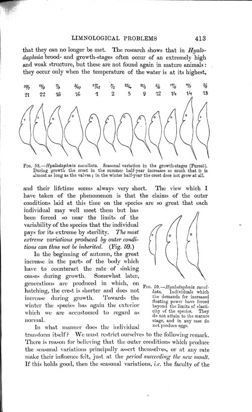 Page 413, Volume 1 - Summary of our Knowledge regarding various Limnological Problems, by C. Wesenberg-Lund