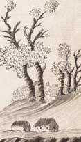 Picture of crofts and trees