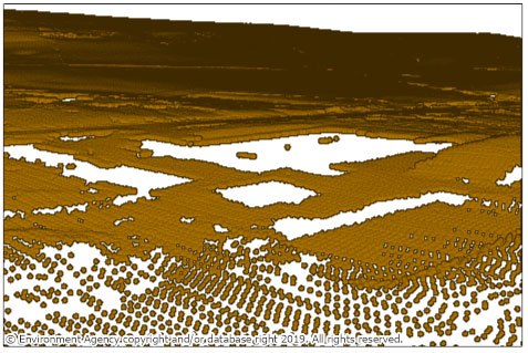 LiDAR point cloud for the example area - showing ground points