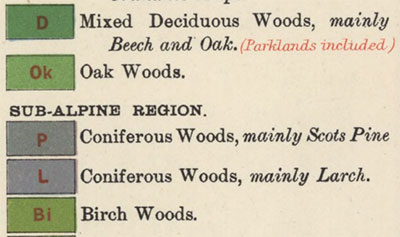 Examples of symbols used to show wood types