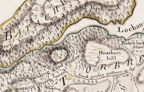 Example of birch woodland from John Home's map, 1774