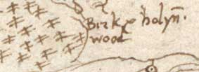Detail of Pont map of Birch and Holly