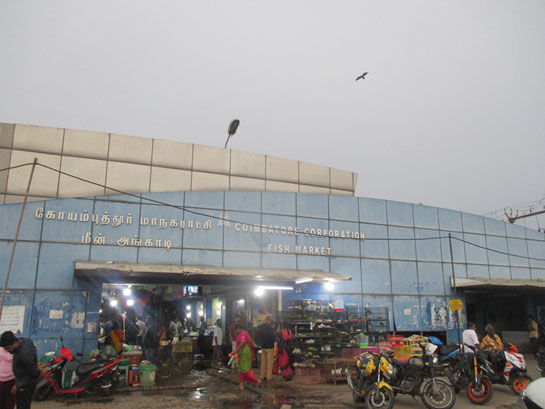 The Coimbatore Corporation Fish Market, opposite the main entrance to Peryiakulam Lake
