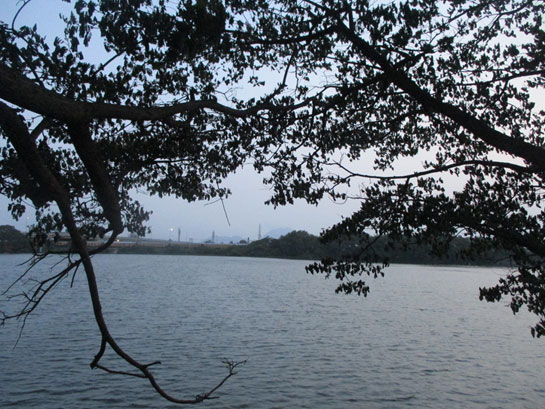 A view of Vallankulam lake from the walking paths that go around the lake’s perimeter